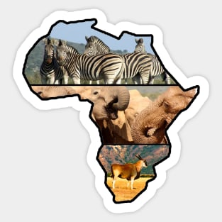 African Wildlife Continent Collage Sticker